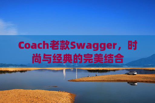 Coach老款Swagger，时尚与经典的完美结合